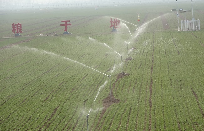 什么樣的農田才屬于高標準農田