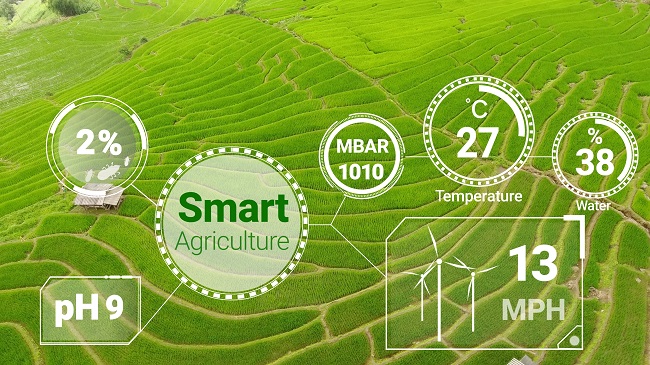 打造數字農業農村全鏈條服務生態圈