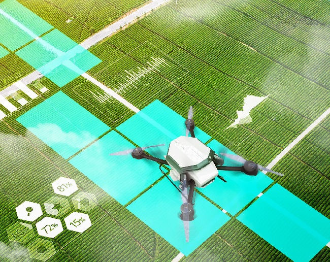 智慧農業添后勁 農戶甩手當掌柜