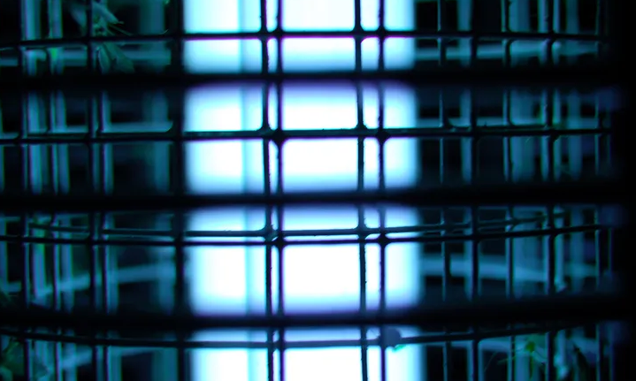 驅蟲器是壞消息嗎?