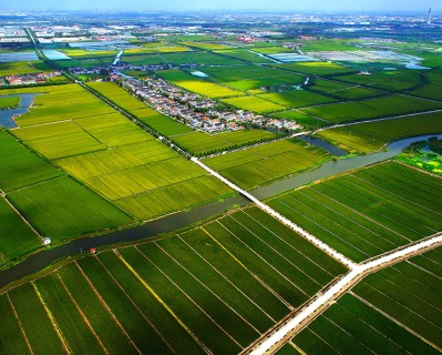 農(nóng)林“四情”監(jiān)測預警系統(tǒng)是什么?